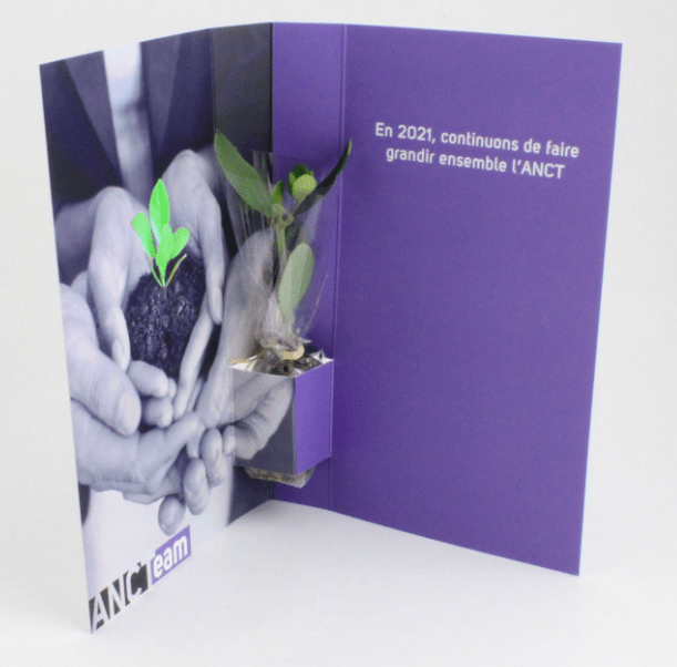 Les plantes postales MP01